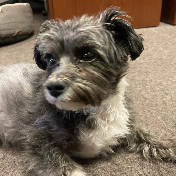 The Douglas Stewart Company 2402 Advance Rd