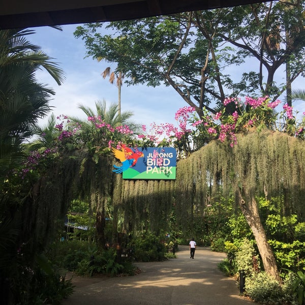 3/14/2019에 Yui P.님이 Jurong Bird Park에서 찍은 사진