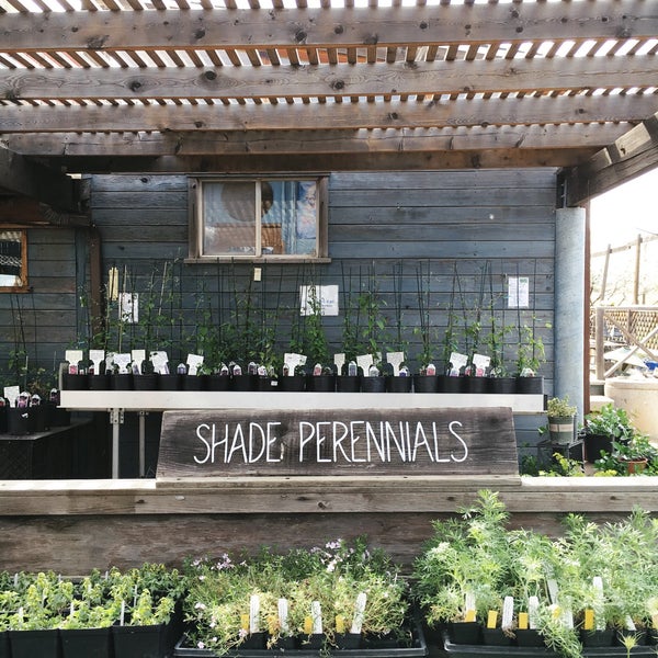 Harlequin's Gardens 7 visitors