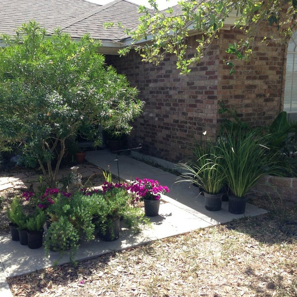 Tree Of Life Nursery Garden Center In San Juan