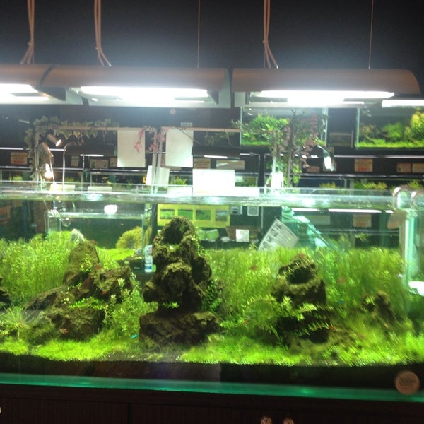 Okinawa Bianco 新都心 1 Tip