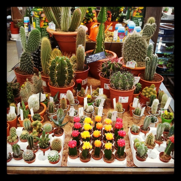 Dobbies Garden Centre Braehead Opening Hours Fasci Garden