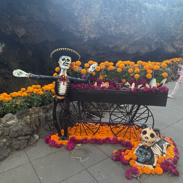 4/23/2024 tarihinde Ana Z.ziyaretçi tarafından La Gruta Teotihuacan'de çekilen fotoğraf