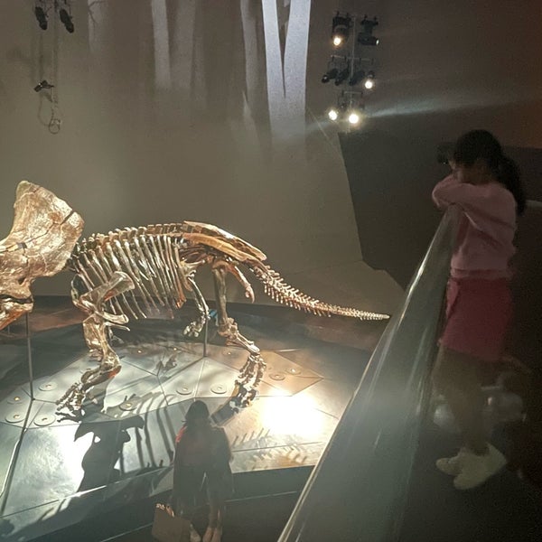 Photo taken at Melbourne Museum by Ana Z. on 4/23/2024