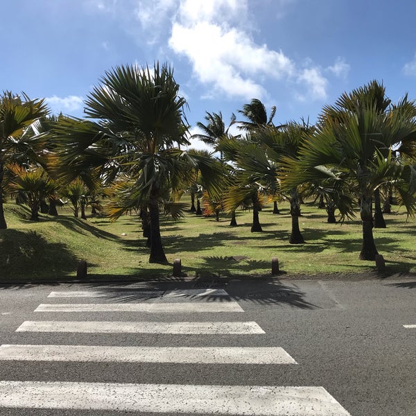 Parc De Bois Madame SainteMarie, Réunion