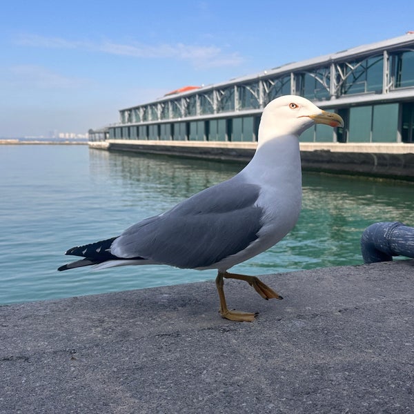 3/7/2024 tarihinde R G.ziyaretçi tarafından Konak Pier'de çekilen fotoğraf