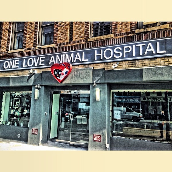 รูปภาพถ่ายที่ One Love Animal Hospital โดย Sasha W. เมื่อ 3/11/2014