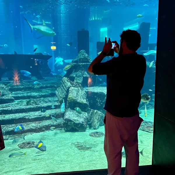 4/10/2023にMaria F.がThe Lost Chambers Aquariumで撮った写真