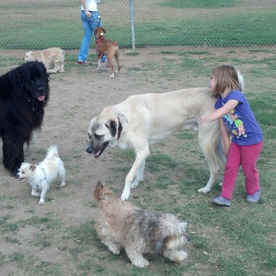 Photos at Orange Dog Park 23 tips from 560 visitors