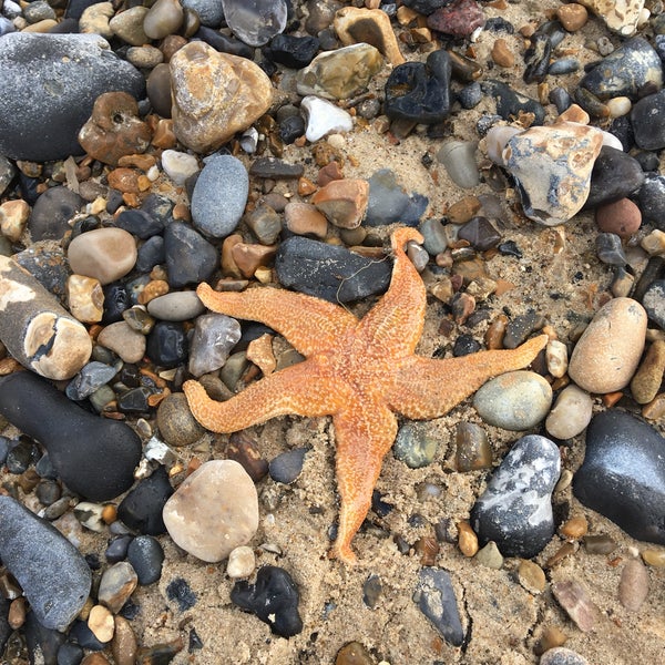 Sea Palling Beach Road