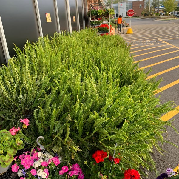 JewelOsco Grocery Store in Downers Grove