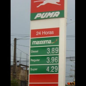 Puma san miguel 2025