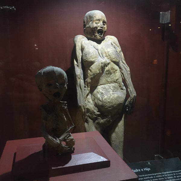 Das Foto wurde bei Museo de las Momias de Guanajuato von May C. am 12/15/2019 aufgenommen