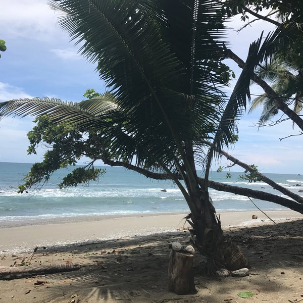 Playa Matapalo 3 tips from 94 visitors