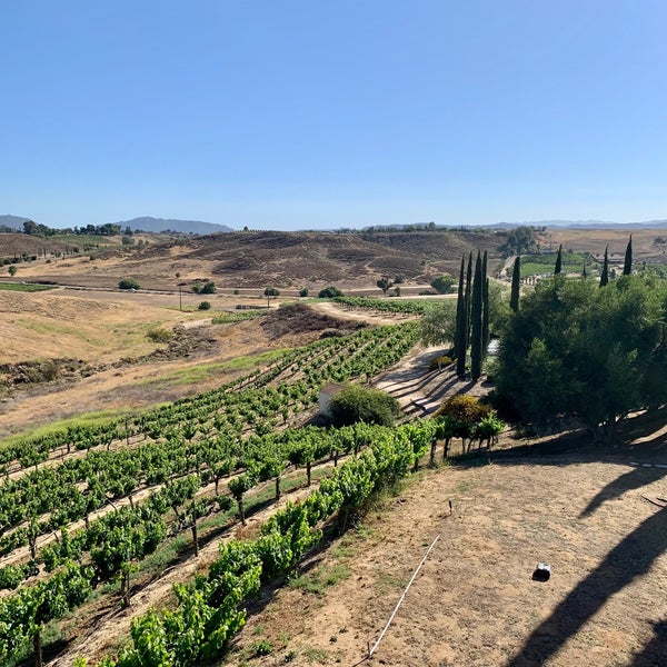 รูปภาพถ่ายที่ Falkner Winery โดย Andrew L. เมื่อ 6/12/2021