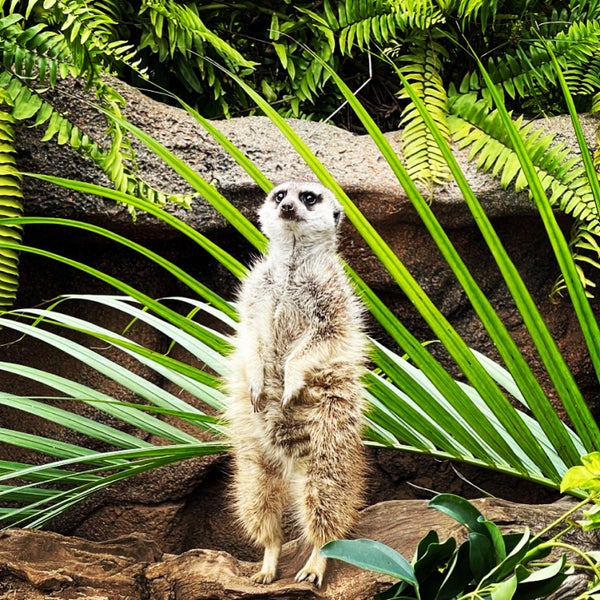 Foto diambil di Loro Parque oleh Dustin W. pada 11/15/2022