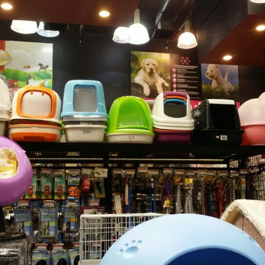 pet shop taman segar Lisa Ince