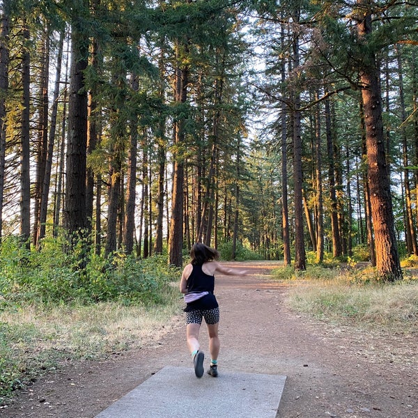 Timber Disc Golf Park 4 tips