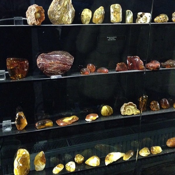 Photo prise au Gintaro muziejus-galerija | Amber Museum-Gallery par Svetlana B. le2/8/2014