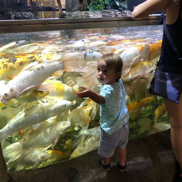รูปภาพถ่ายที่ Austin Aquarium โดย Phillip K. เมื่อ 7/6/2018