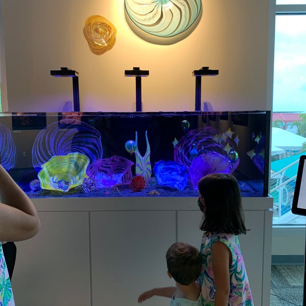 รูปภาพถ่ายที่ The Florida Aquarium โดย Phillip K. เมื่อ 5/10/2020