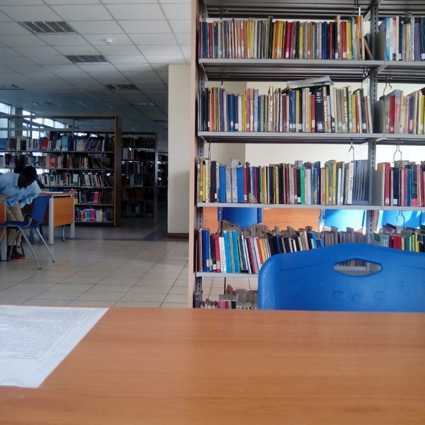 Our library. Students at the library. библиотека фейсбука. Jw library фото. библиотека на английском надпись.