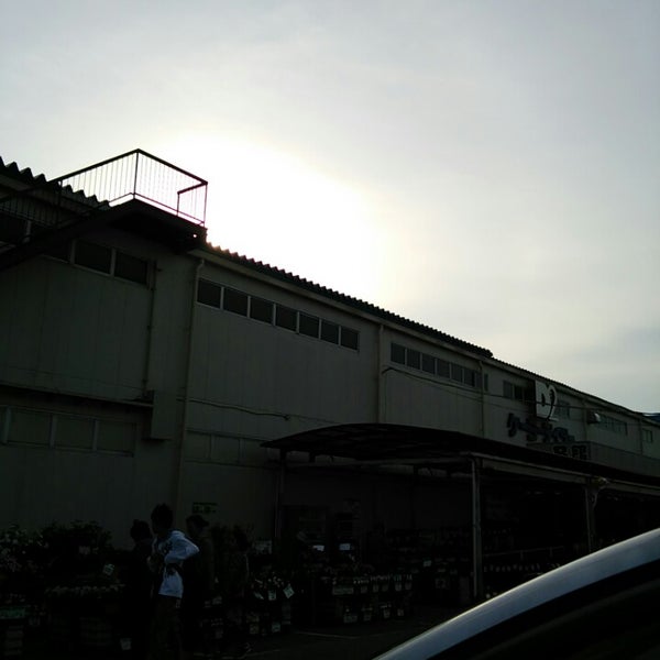 ケーヨーデイツー 三咲店 船橋市 千葉県