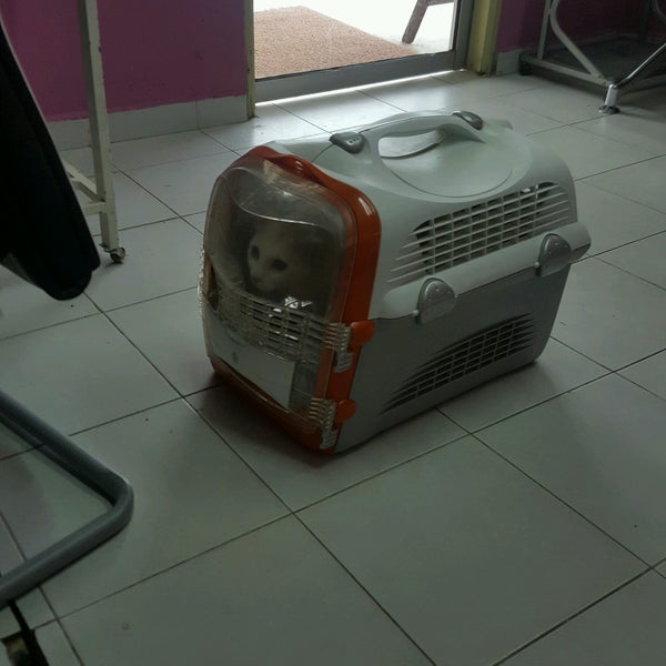 Photos At Klinik Veterinar Dungun Pet Service