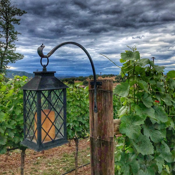 Photo taken at Dancin Vineyards by Grove A. on 6/13/2021