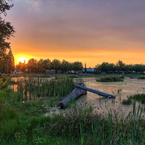 Blue Origin Kent, WA