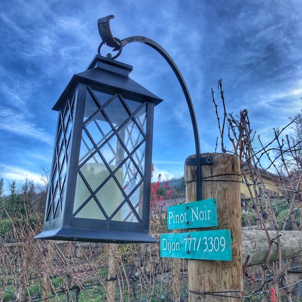 Photo taken at Dancin Vineyards by Grove A. on 11/22/2021