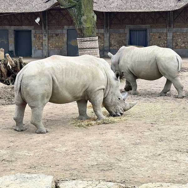 รูปภาพถ่ายที่ Zoo Antwerpen โดย Brett D. เมื่อ 3/9/2024