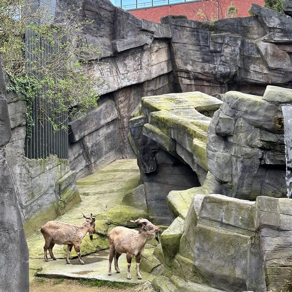 3/9/2024에 Brett D.님이 Zoo Antwerpen에서 찍은 사진