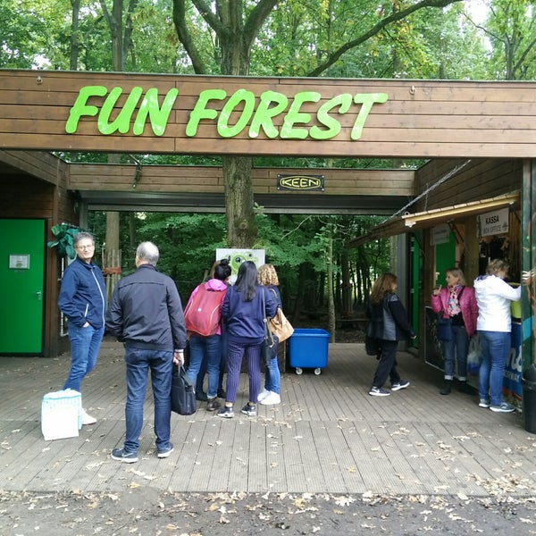 Fun forest. Fun forest