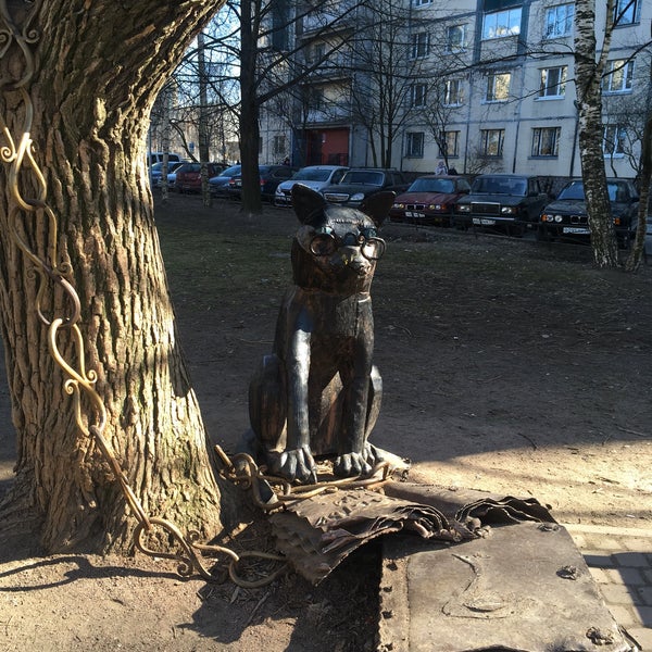 Кот ученый оренбург. Кот ученый оренбург