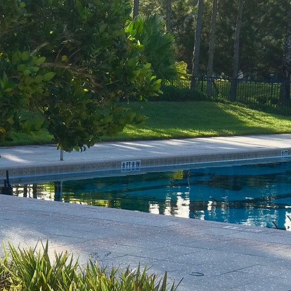 Grand Hamptons Pool West Meadows Tampa, FL