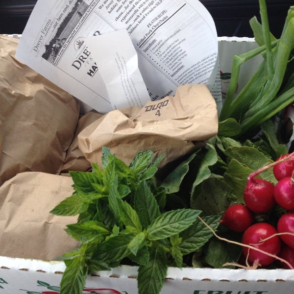 Dreyer Farms Garden Center