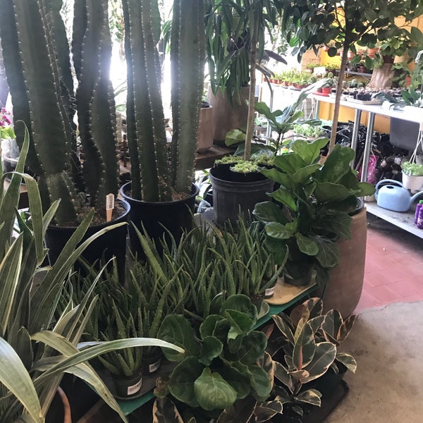 Photo taken at Sprout Home by Rachel P. on 7/13/2019
