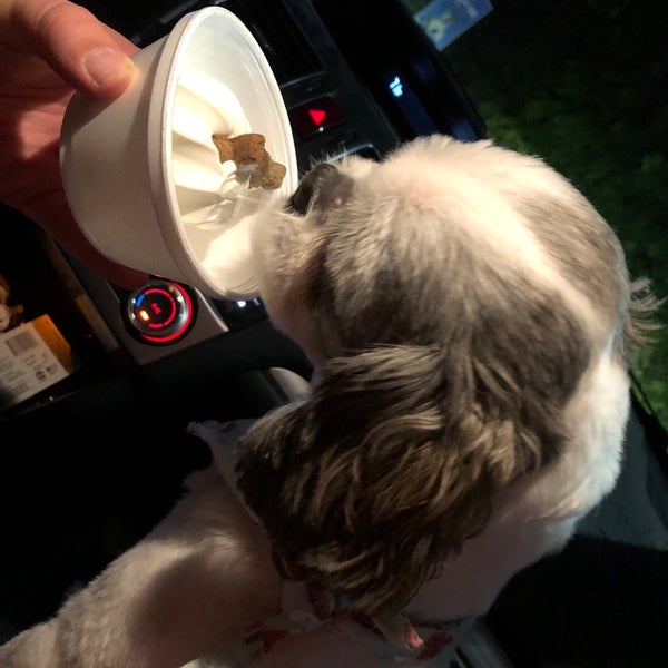 Main Ave Ice Cream Ice Cream Parlor