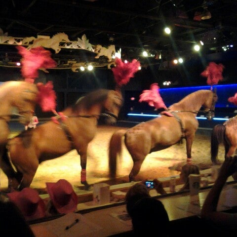 Sissy Island Petting Zoo