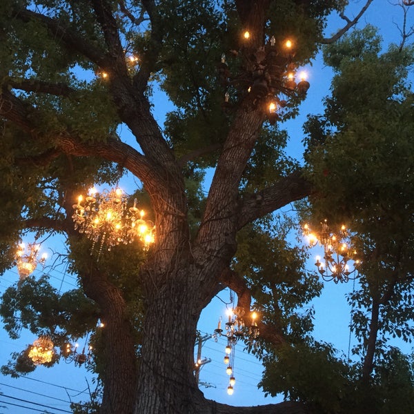 Photos at Chandelier Tree Tree in Silver Lake