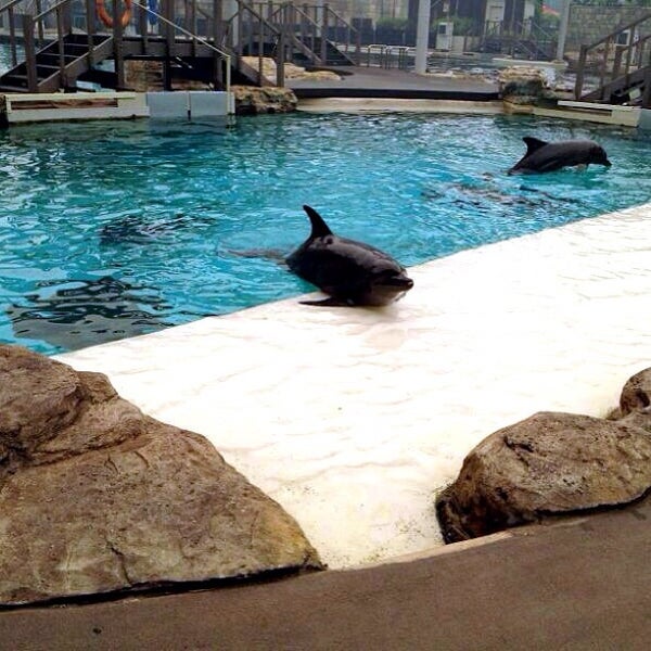 Photo taken at Underwater World And Dolphin Lagoon by Zack S. on 6/21/2013