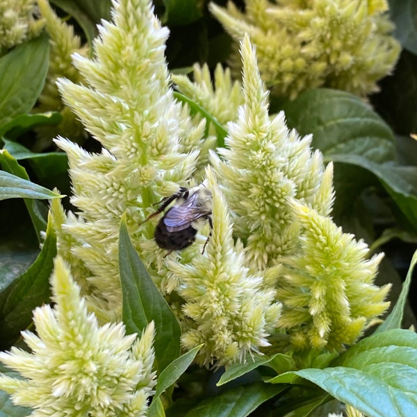 The Home Depot South Surrey 4 tips