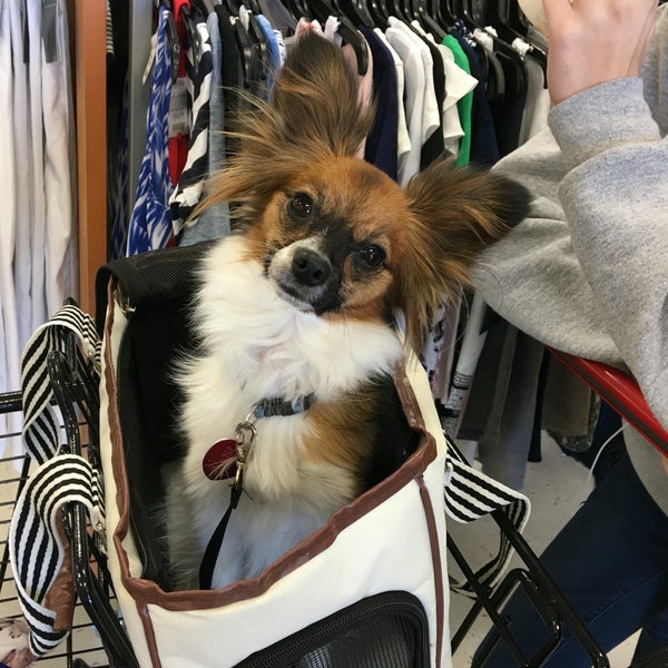 T.J. Maxx Great Falls, MT