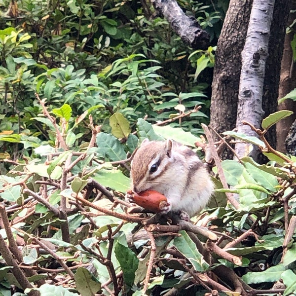 Photos A さいたま市りすの家 Exposition De Zoo A さいたま市 Photos A さいたま市りすの家 Exposition De Zoo A さいたま市