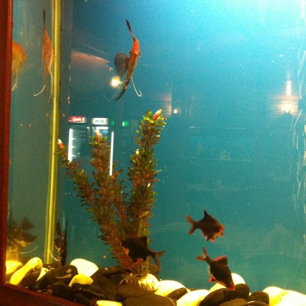 Аквариум 27. Аквариум 27. Модульный аквариум. Аквариум nanocube 10. Аквариум atman zgt-30 белый.