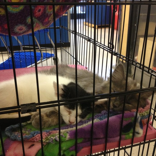 Photos at PetSmart East Louisville Louisville, KY