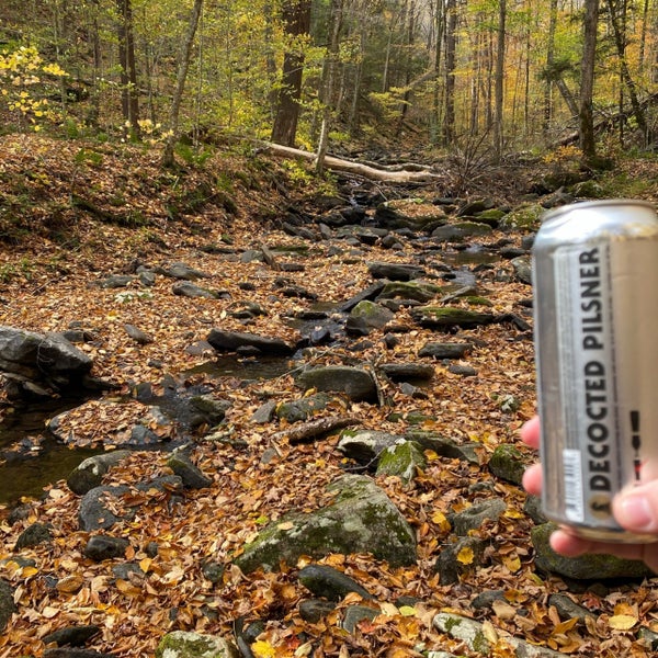 Loyalsock Trail 1 tip