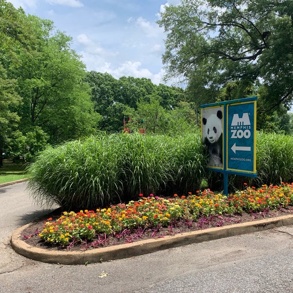 รูปภาพถ่ายที่ Memphis Zoo โดย Anthony C. เมื่อ 6/15/2019