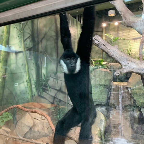 Photo taken at Kansas City Zoo by Anthony C. on 10/3/2021